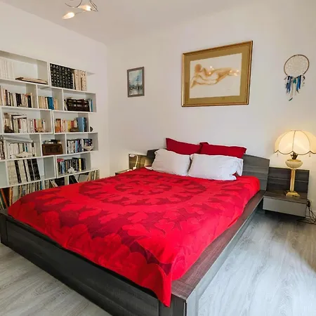 Appartement Comfortable 1 Bedroom - Center